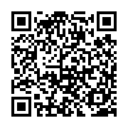 QR code for plate DIR 665