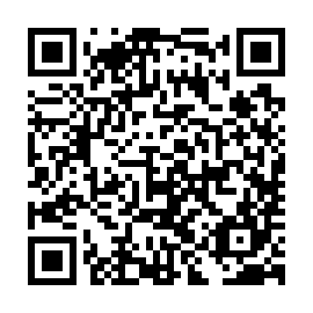 QR code for plate DIR 784