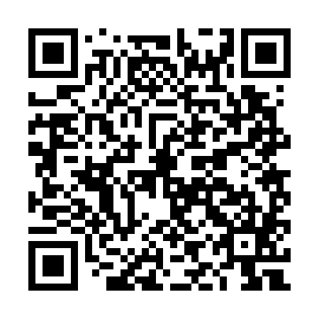 QR code for plate DIR 785