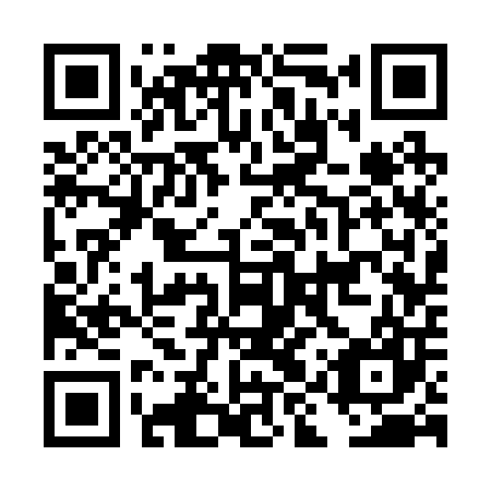 QR code for DIS 207