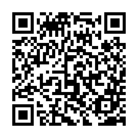 QR code for DIS 242