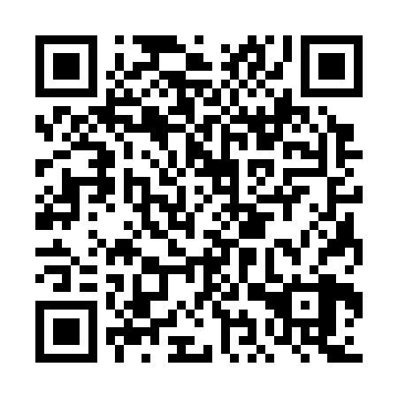 QR code for DIS 328