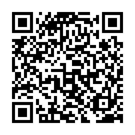 QR code for DIS 333
