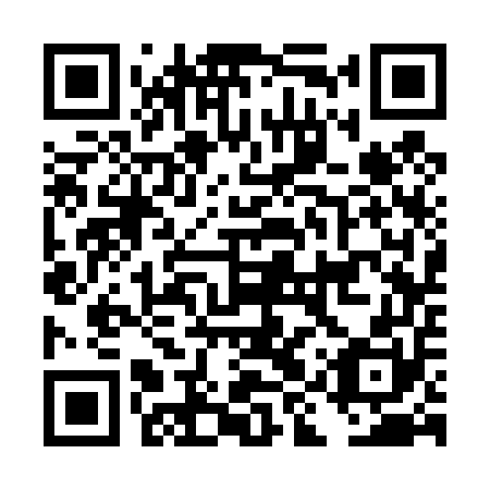 QR code for DIS 450