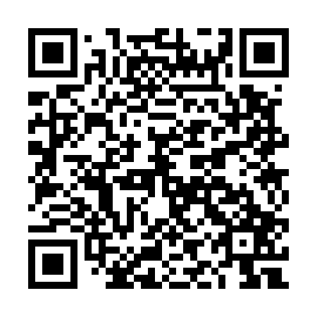 QR code for DIS 507