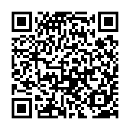 QR code for DIS 795