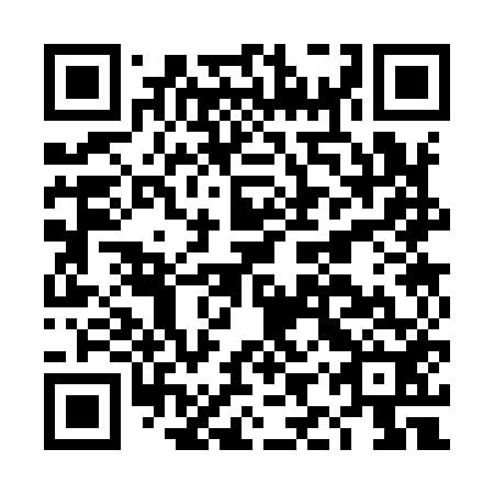 QR code for DIS 952