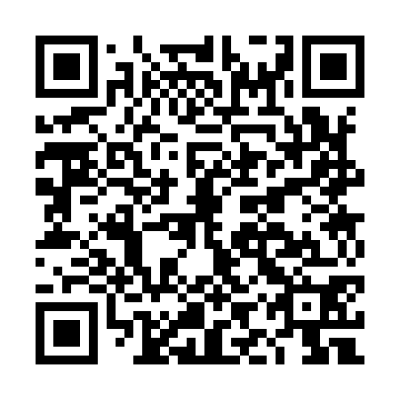 QR code for DIS 970
