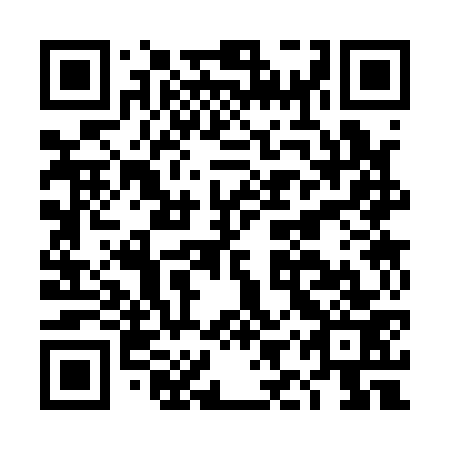 QR code for DIS173