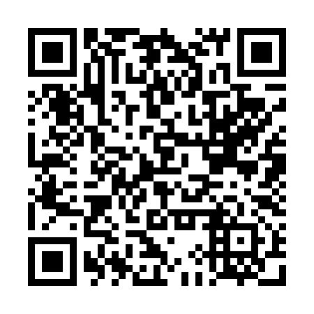 QR code for DIS492