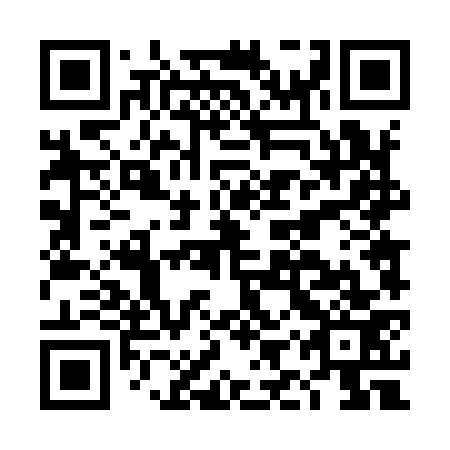 QR code for DIT 973
