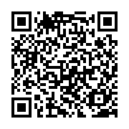 QR code for DIW 325