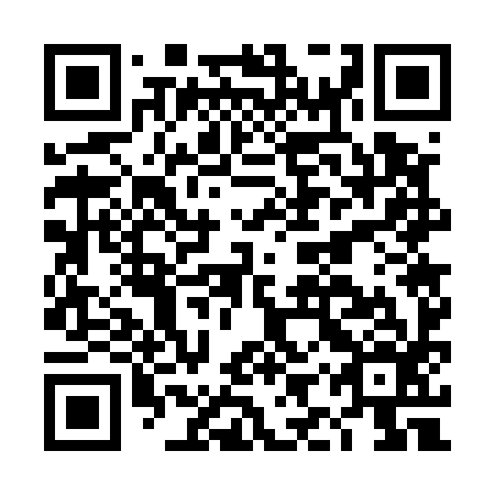 QR code for DIW 596