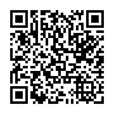 QR code for DIW 771