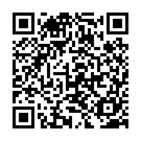 QR code for plate DIW 265