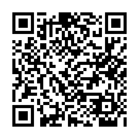 QR code for DIW533