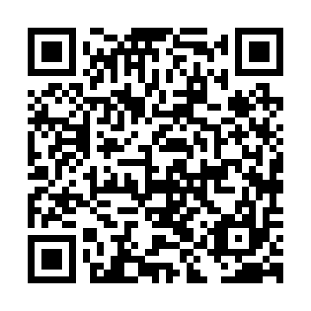 QR code for DIX 217