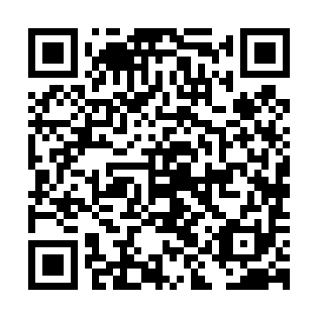 QR code for DIX 491