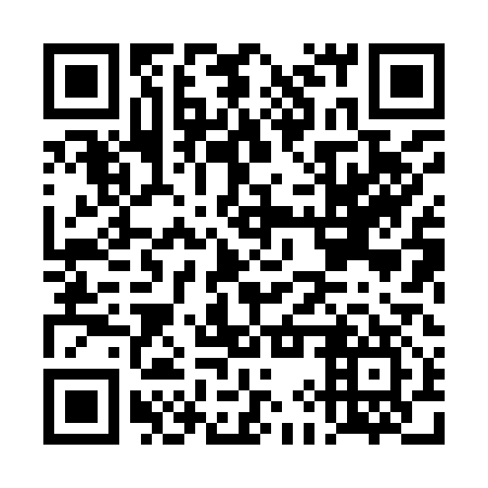 QR code for DIX 917