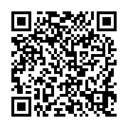 QR code for DIX 950