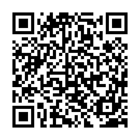 QR code for plate DIX 077