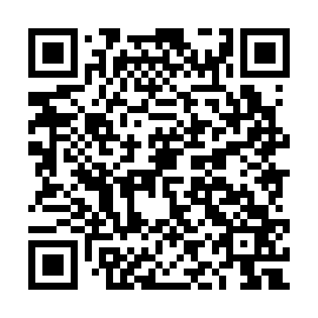 QR code for plate DIX 363