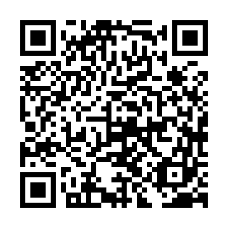 QR code for plate DIX 963