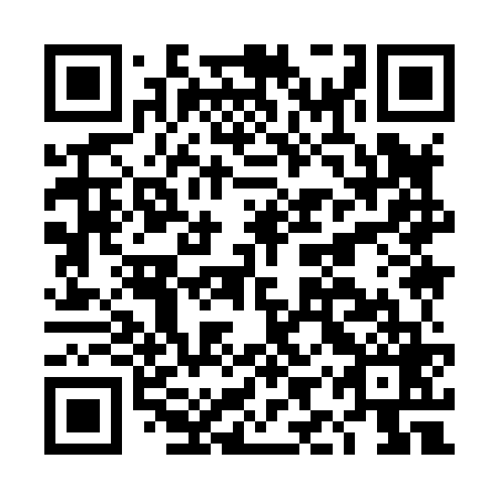 QR code for DIY 869