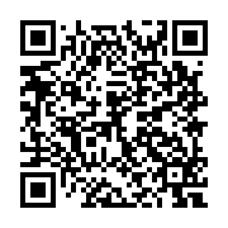 QR code for DIY196