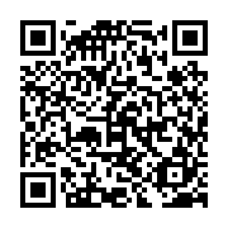 QR code for plate DIY 222