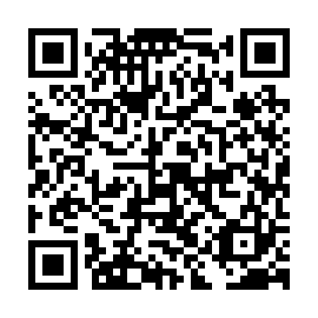 QR code for DIY223
