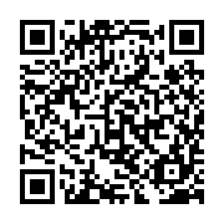 QR code for DIY294