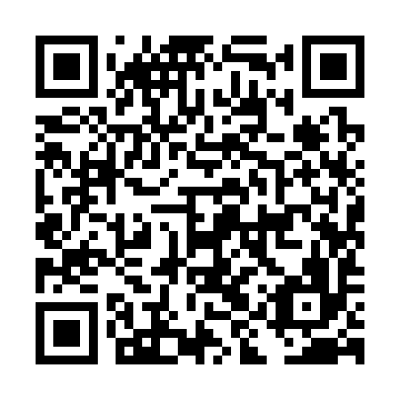 QR code for DIY396