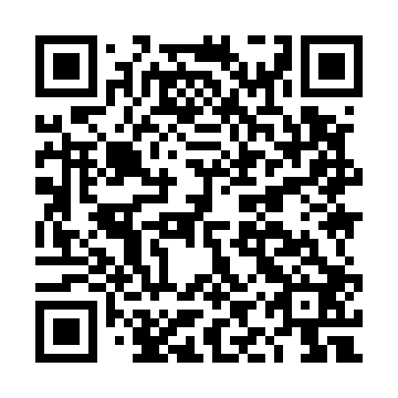 QR code for plate DIY 502