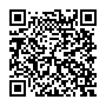 QR code for DIY545