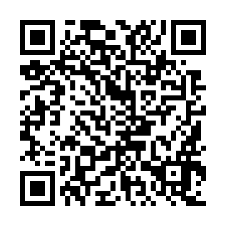 QR code for DIY796