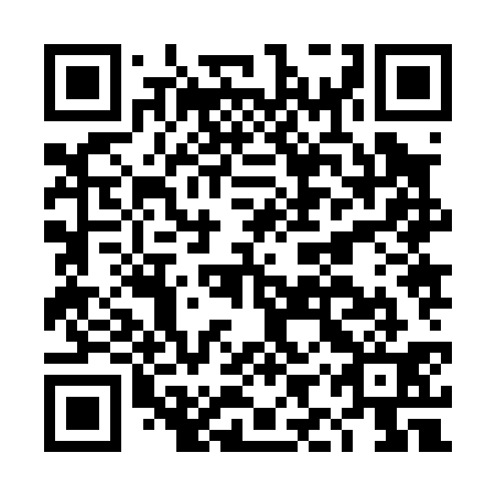 QR code for DIZ 031