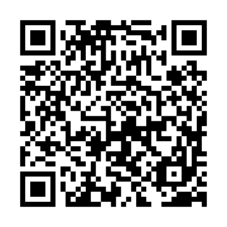 QR code for DIZ 297