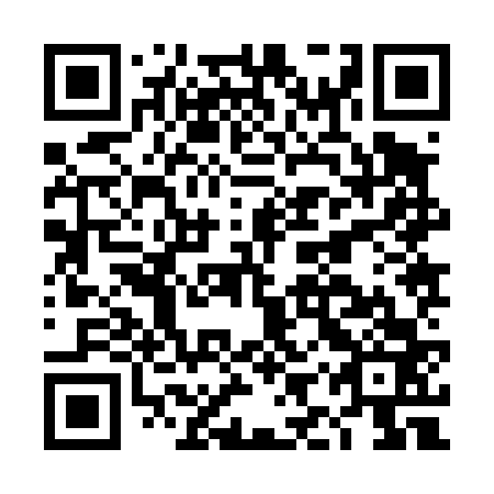 QR code for DIZ 463