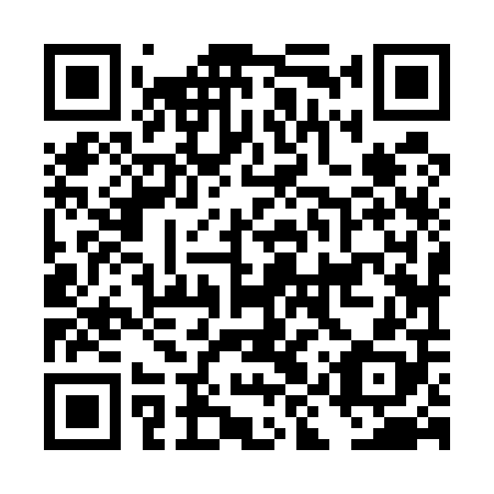 QR code for DIZ 508