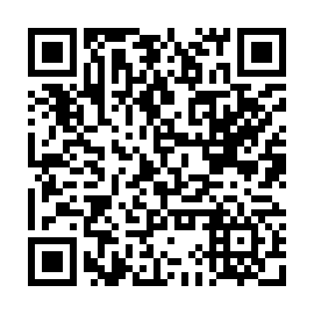 QR code for DIZ 966