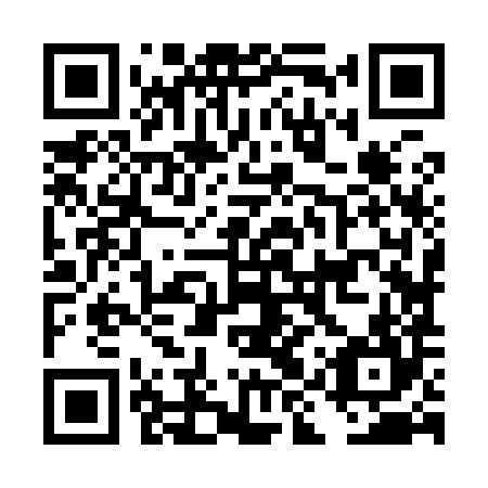 QR code for DIZ 984