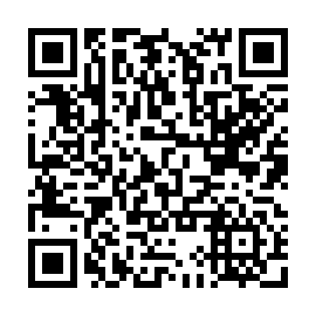 QR code for DIZ346