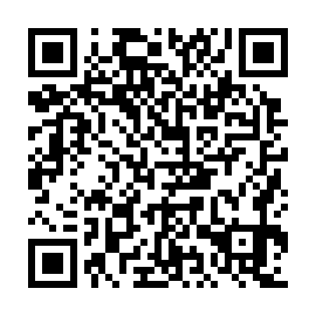QR code for plate DIZ 371