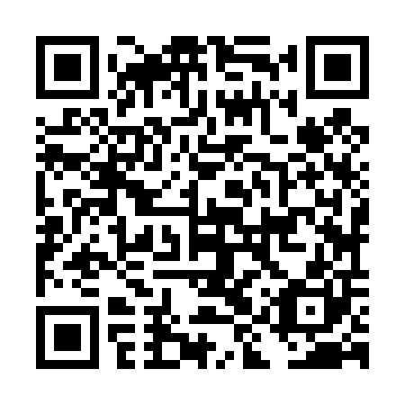 QR code for DIZ400