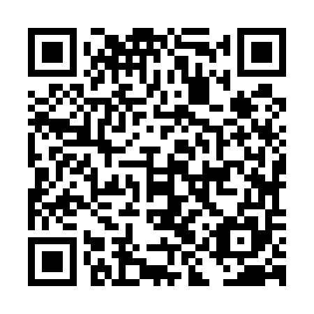 QR code for DIZ555