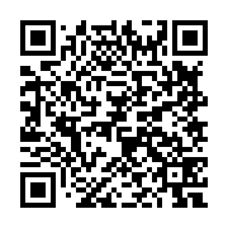 QR code for DIZ879