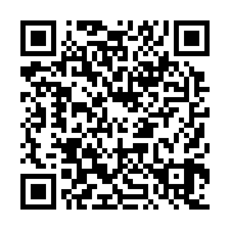 QR code for DJ 0309