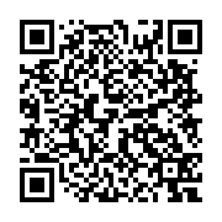 QR code for DJ 0533