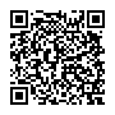 QR code for DJ 2490